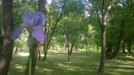 Petit camping familial